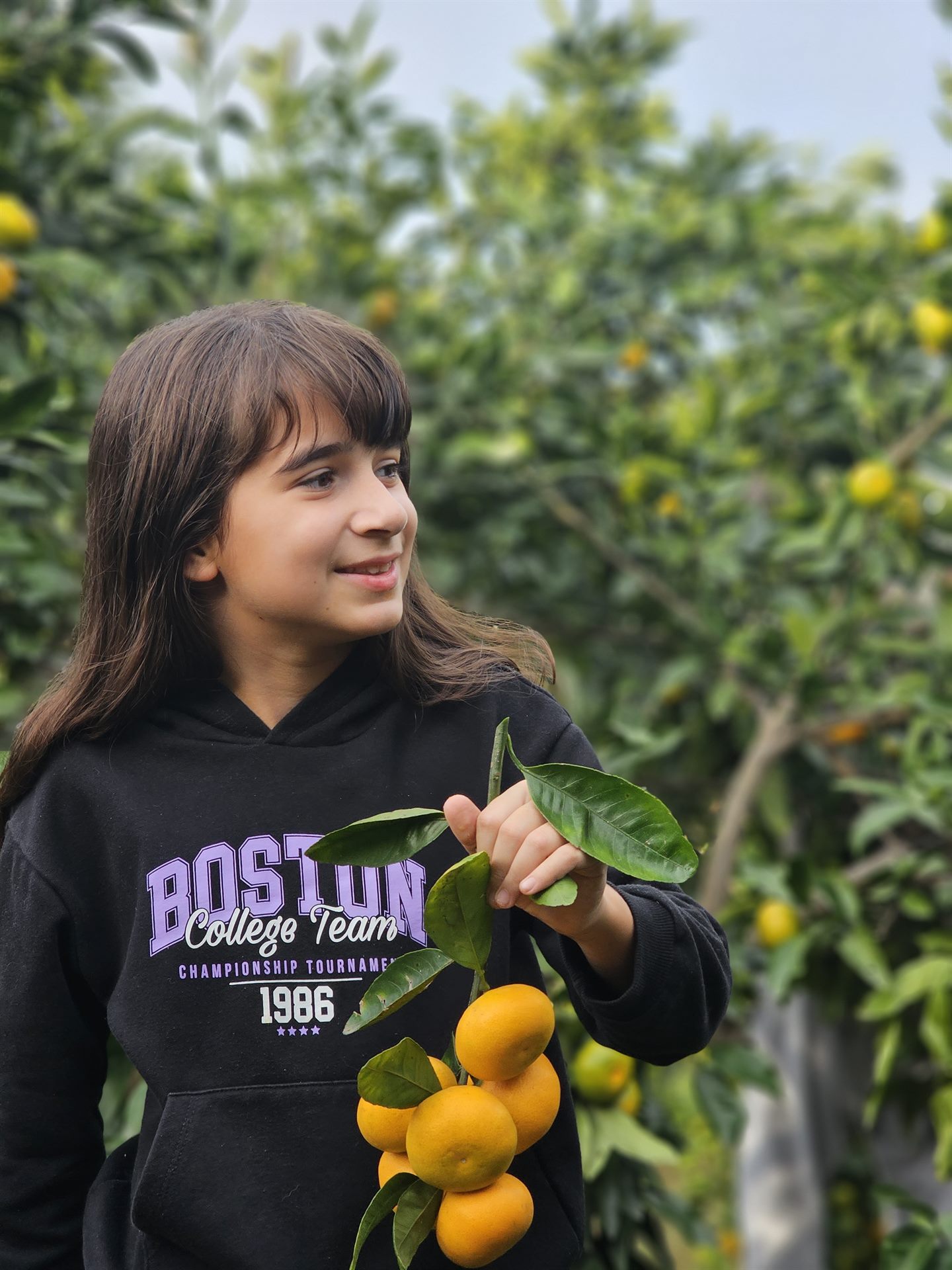 Mandarin Garden Tour