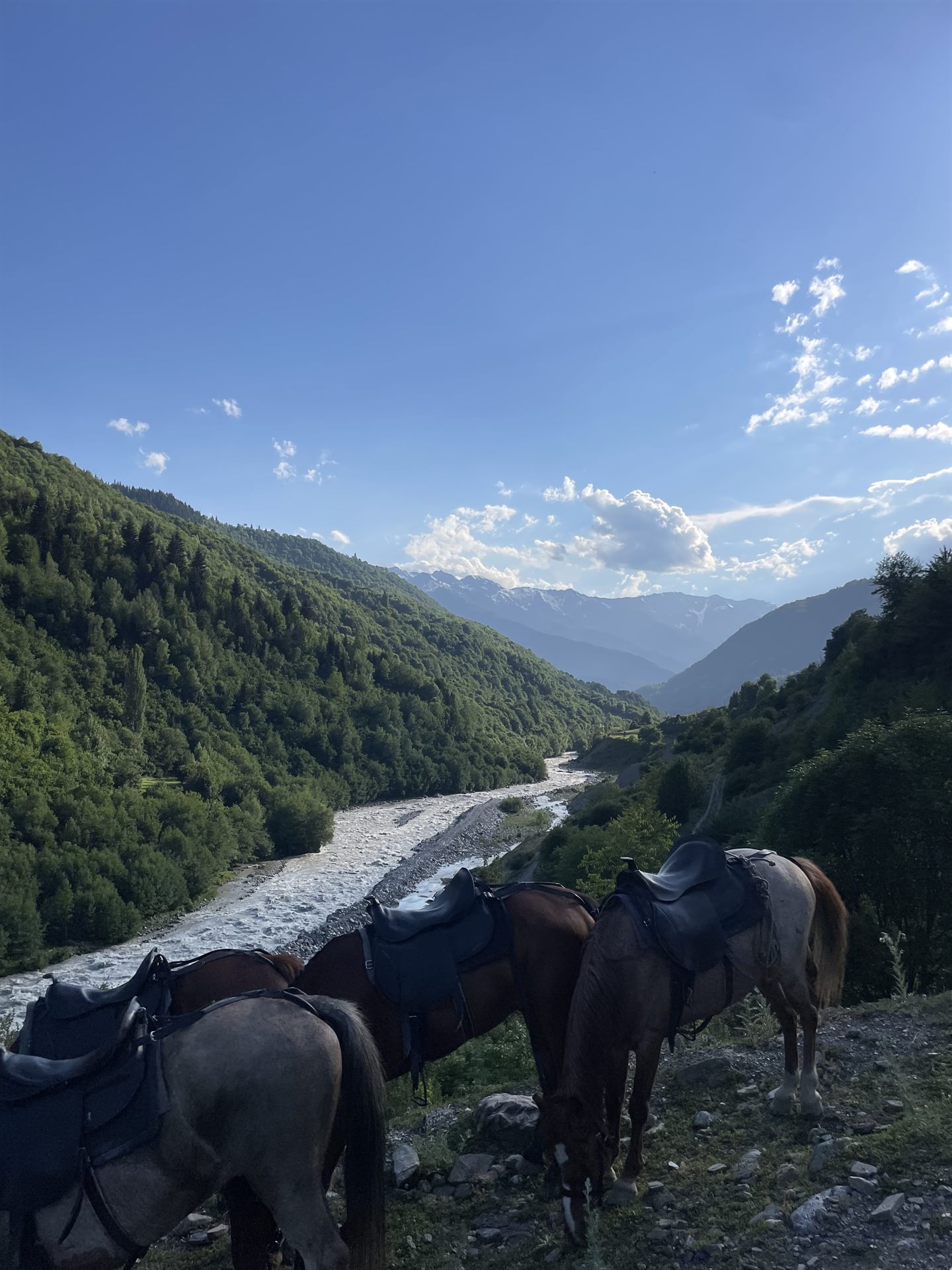СВАНЕТИ 3 ДНЯ