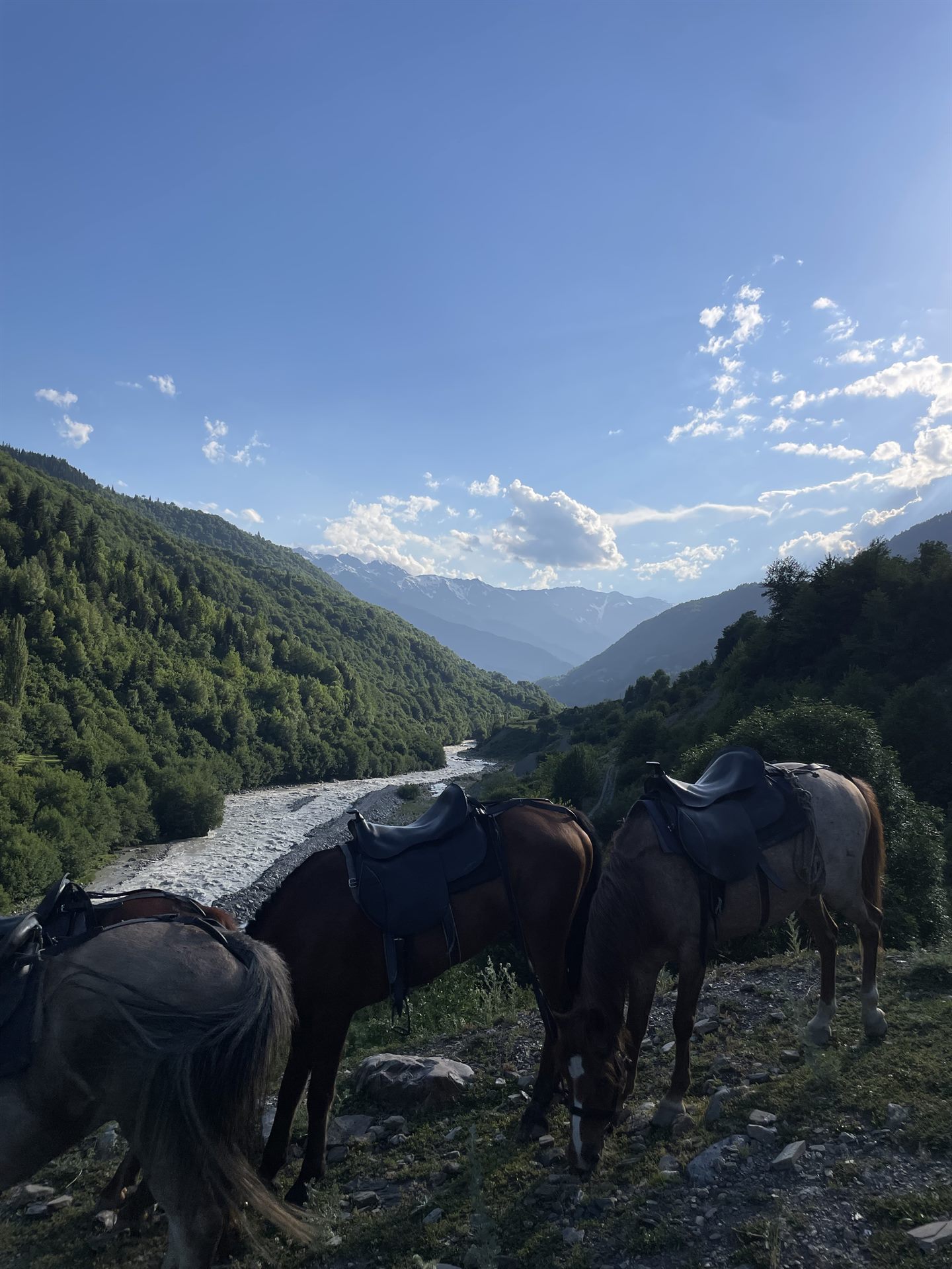 СВАНЕТИ 3 ДНЯ