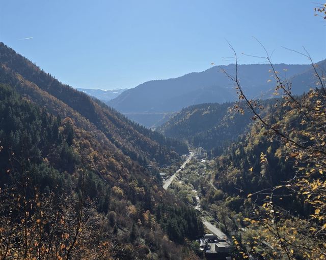A forested gorge with a river under bright sun