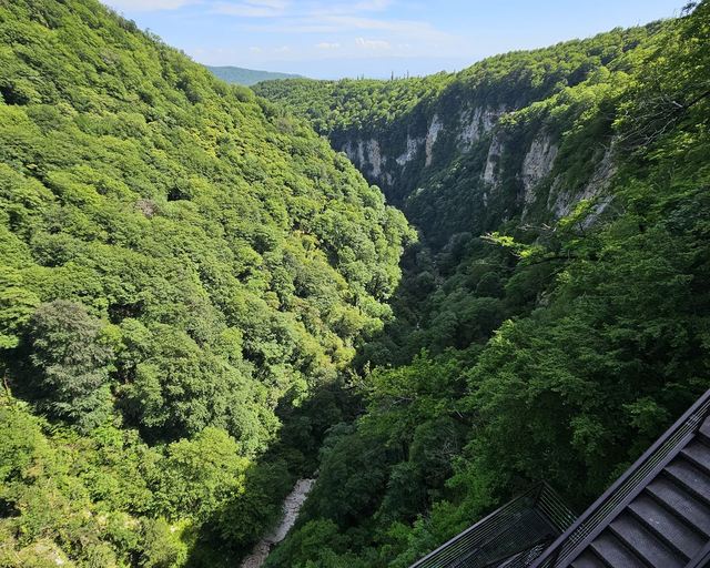 A deep green canyon with a metal staircase