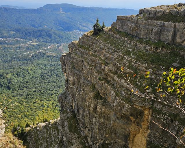 A cliff edge above a forested valley